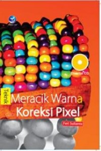 Teknik Meracik warna dan koreksi Pixel