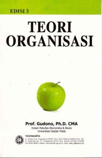 Teori Organisasi